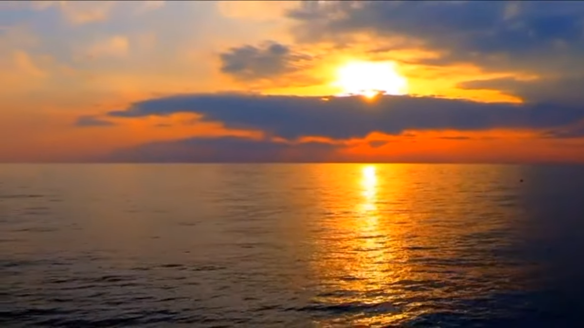 ялта на дзен последнее видео