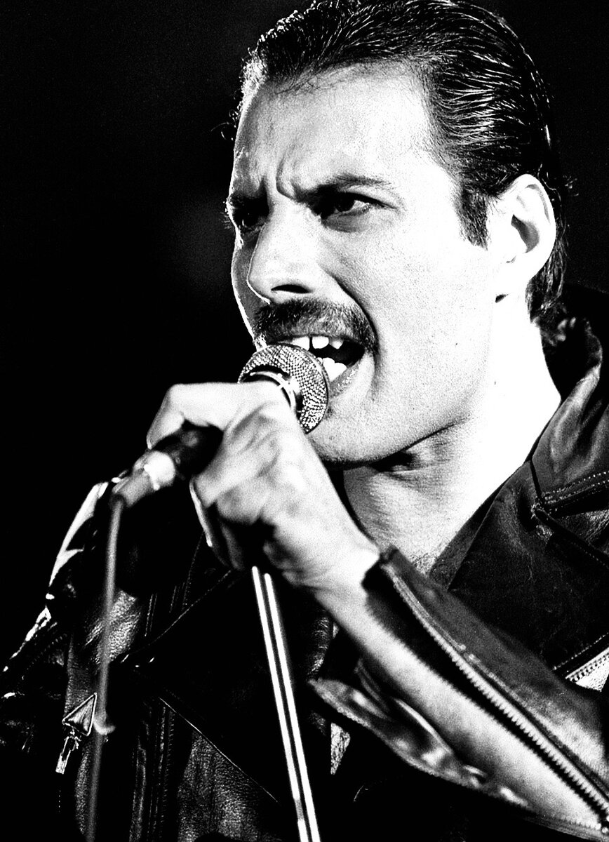 (фото из результатов поисковой выдачи Яндекса)