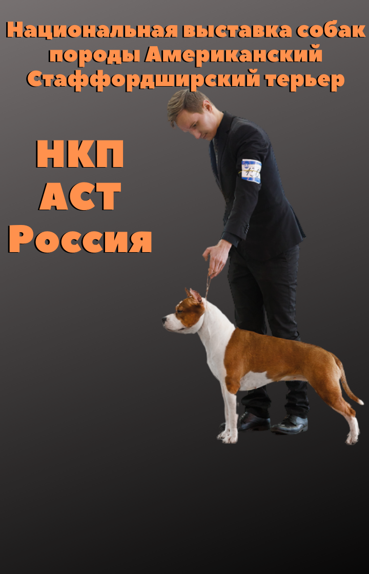 Выставка собак американский стаффордширский терьер НКП АСТ Россия г. Малаховка