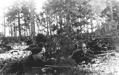 Партизаны в лесу