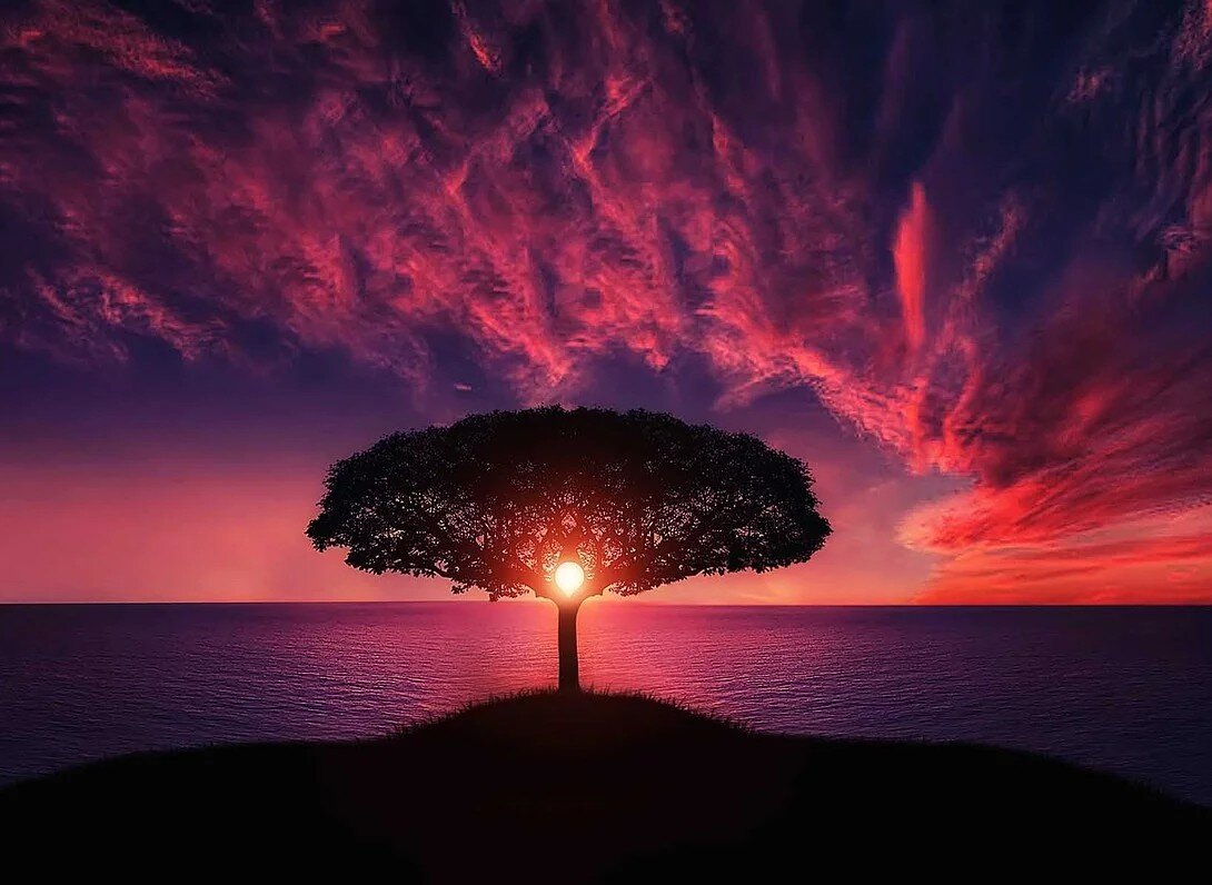 Изображение взято из открытых источников