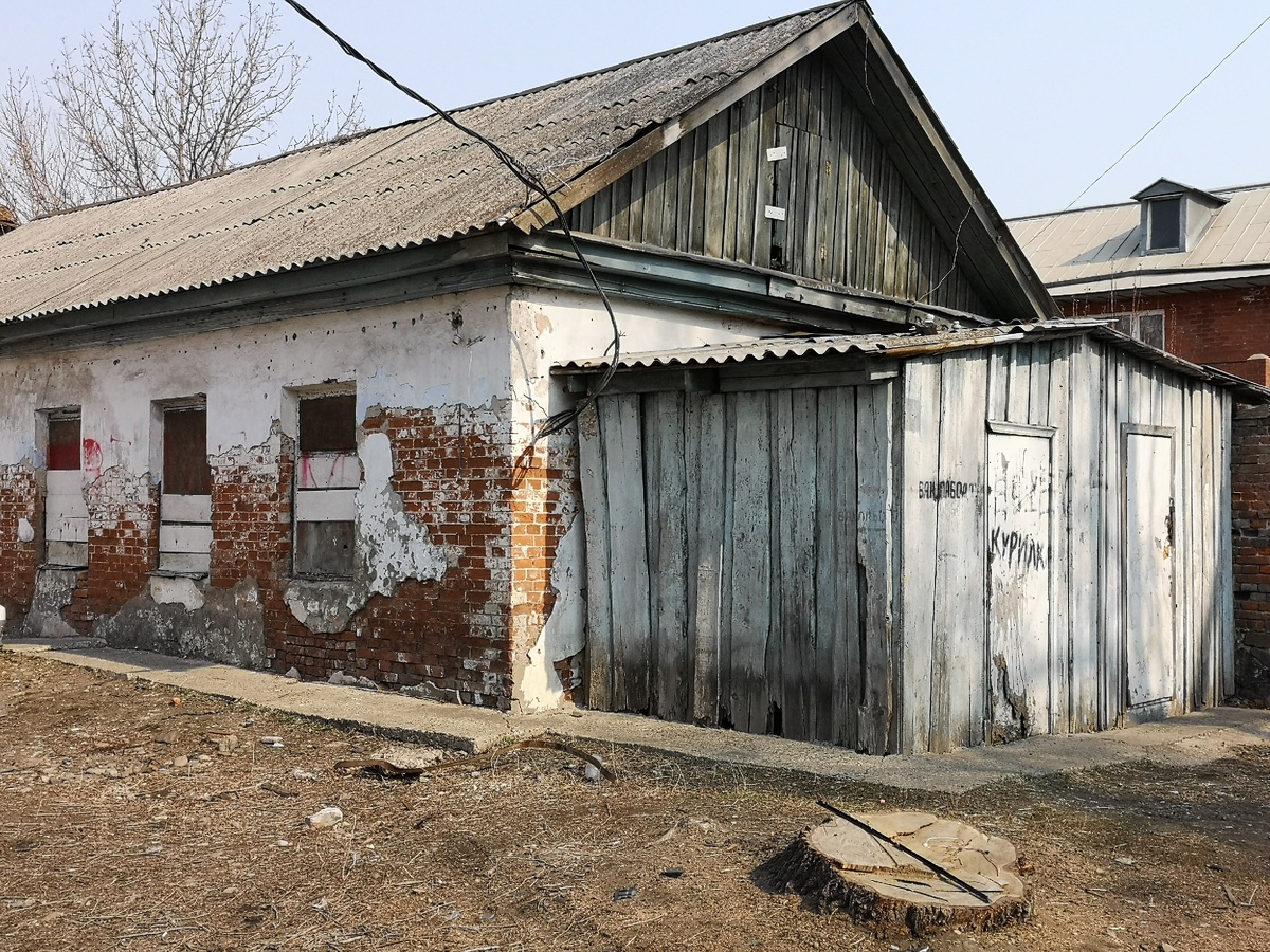 От дерева, что на старом фото, остался лишь пенек.