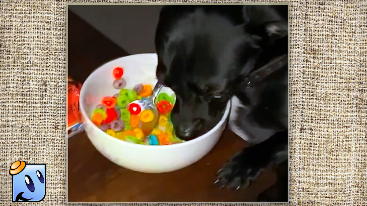 Спокойно кушаю,никого не трогаю.