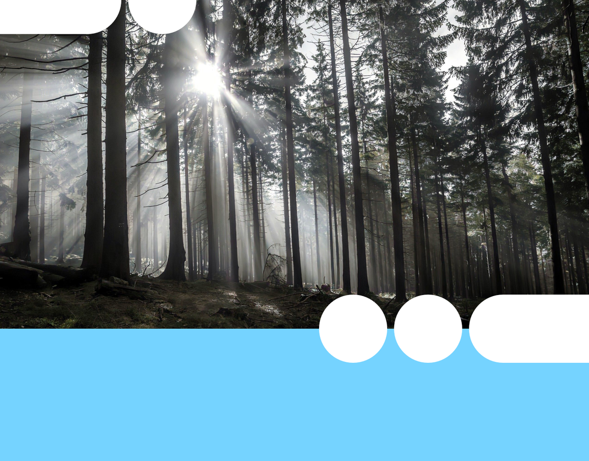 Kay Wiegand / Alamy Stock Photo 