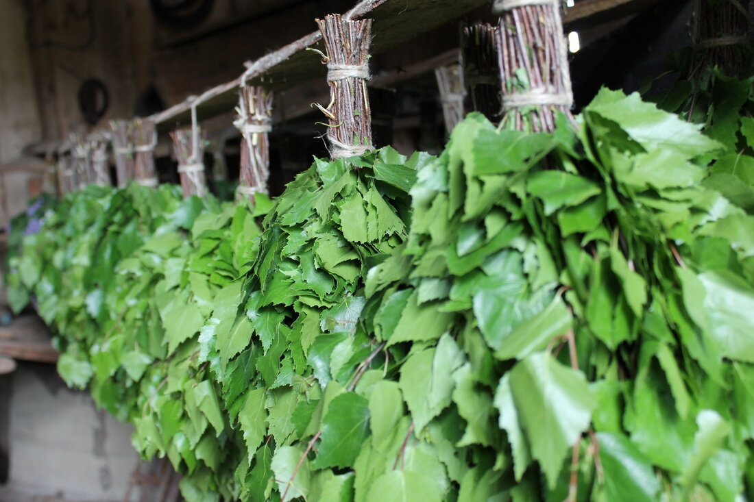 березовый веник