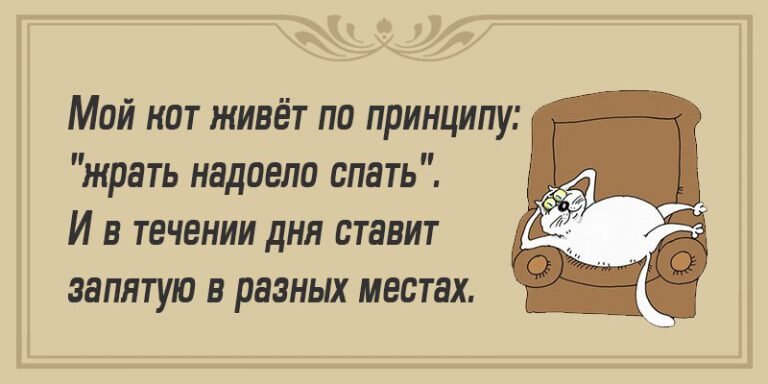 фото из открытого доступа.