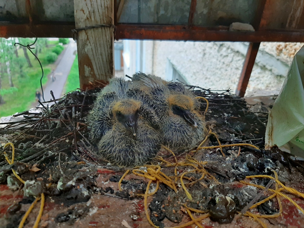 Фото из личного архива