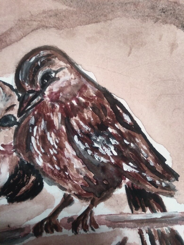 рисовалось все поряд