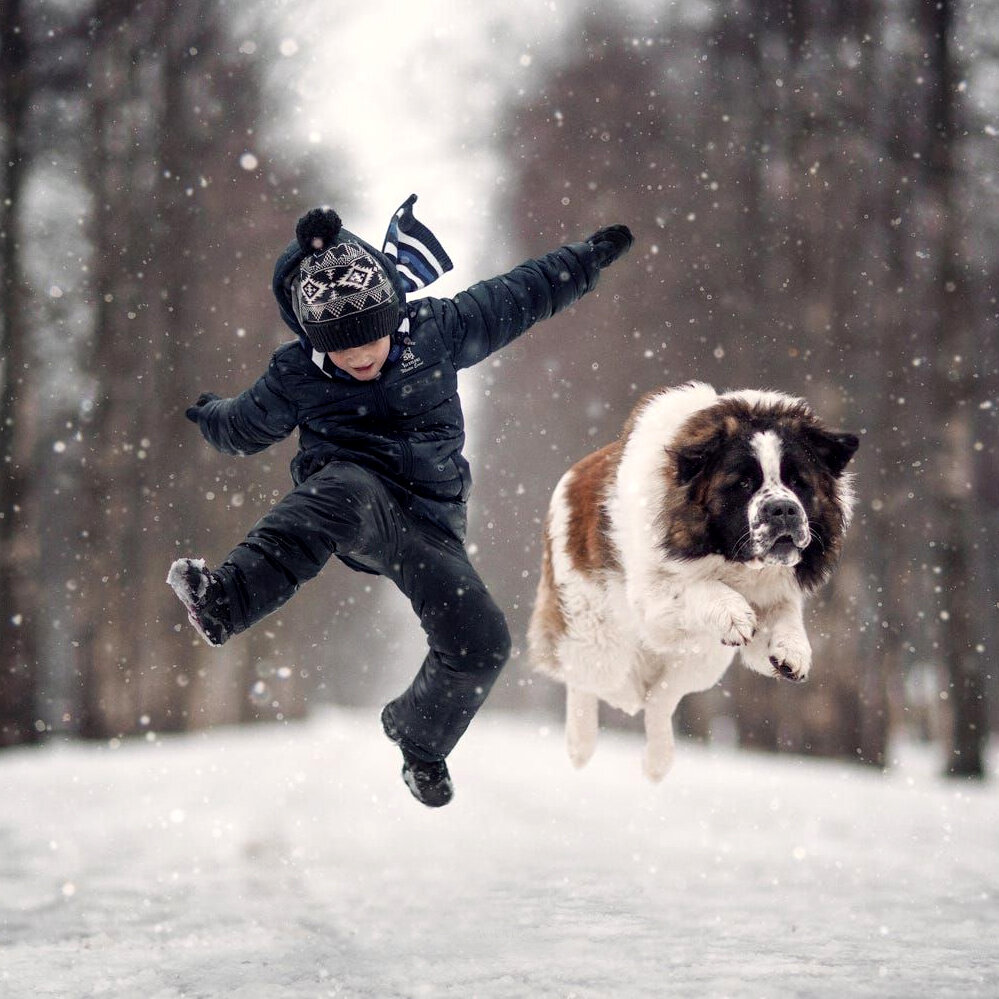 Автор фото: A.Y. Seliverstoff