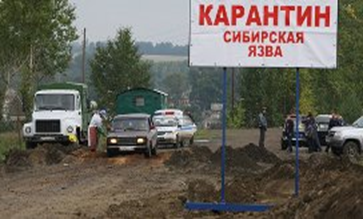 Стационарно неблагополучный по сибирской язве пункт 