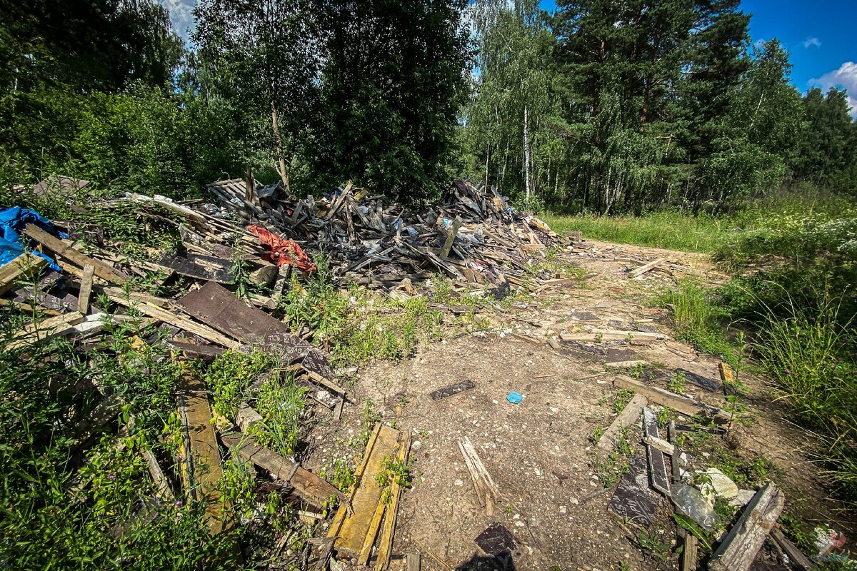 Гуляли по лесу и увидели в земле глубокое отверстие. Друг спустился первым и сказал, что это старый военный объект