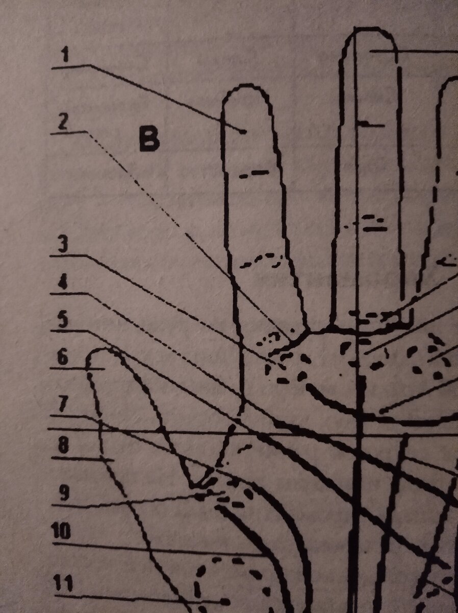 Изображение взято из книги по хиромантии