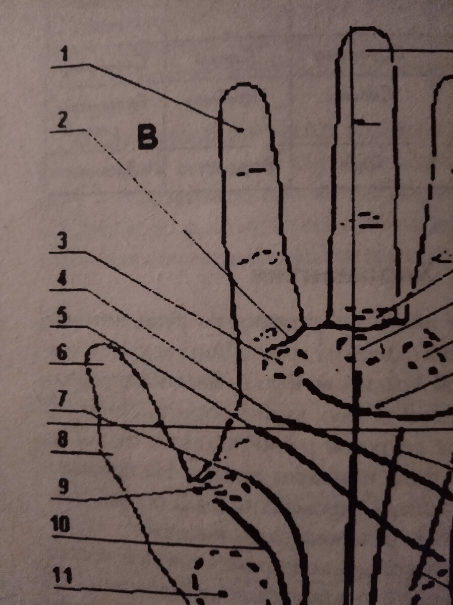 Изображение взято из книги по хиромантии