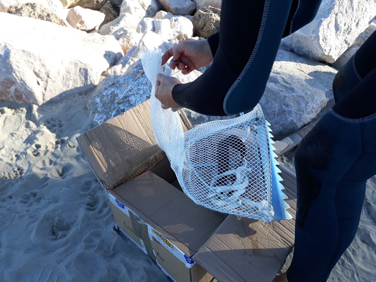 Так выглядит растрелло