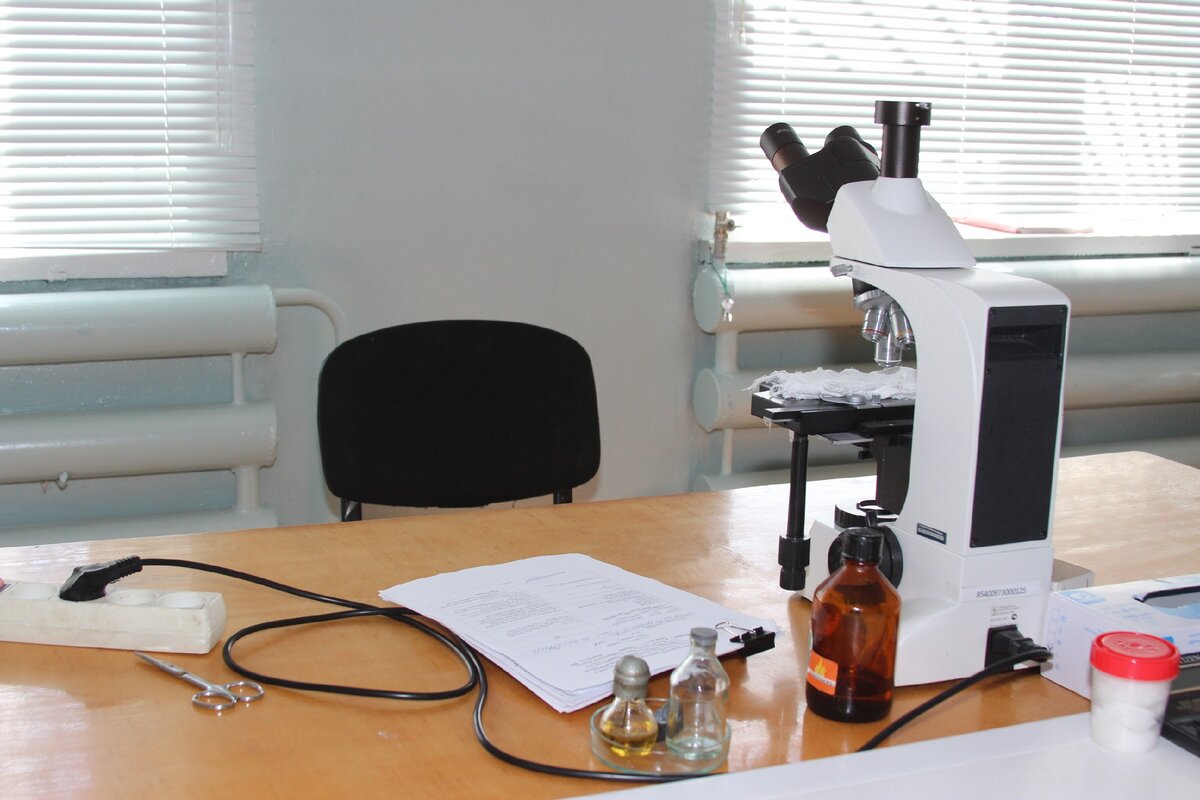 Что делать, если не согласен с судебной экспертизой | Принцип Права | Дзен