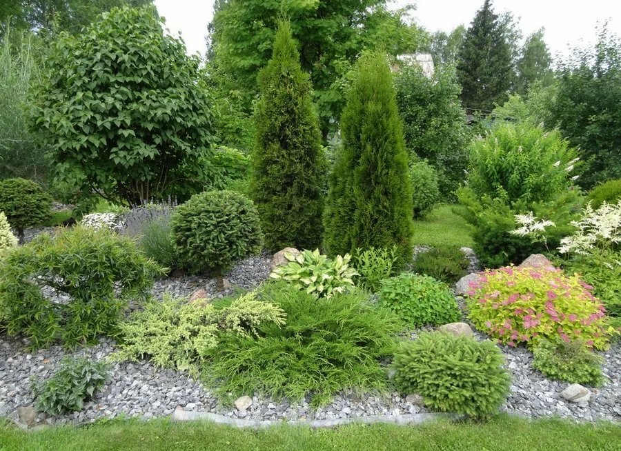 Яндекс картинки 