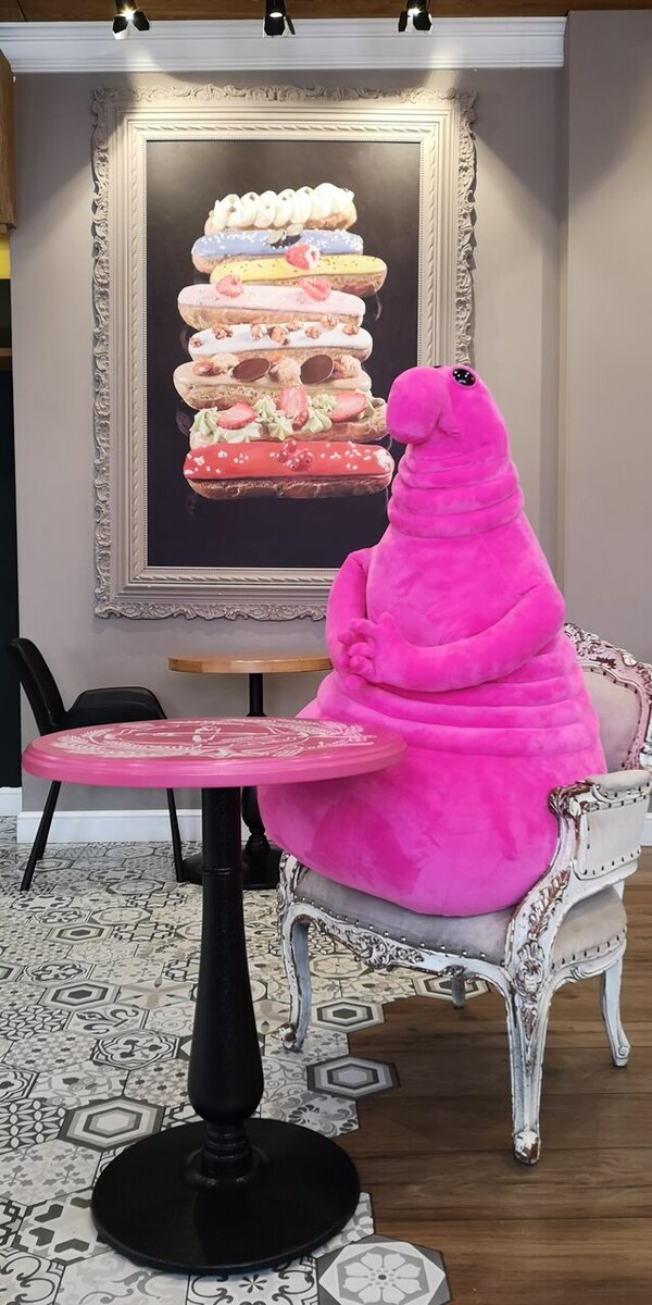 Фото из открытой сети Интернет