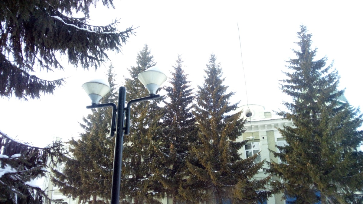 Ели и фонарь