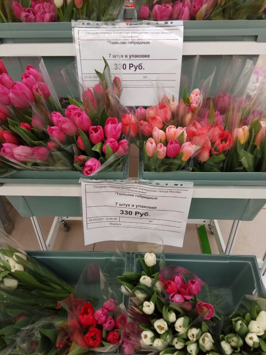 Букет тюльпанов