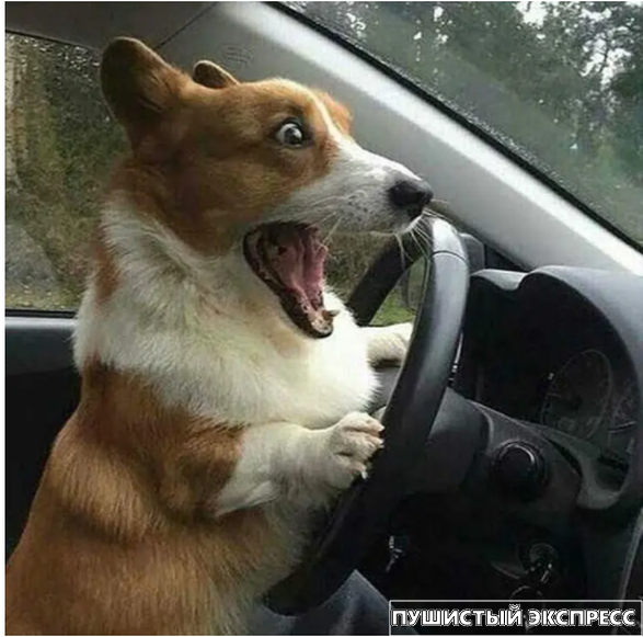 Источник: www.reddit.com