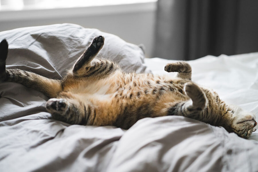 Источник 6 Яндекс картинки.