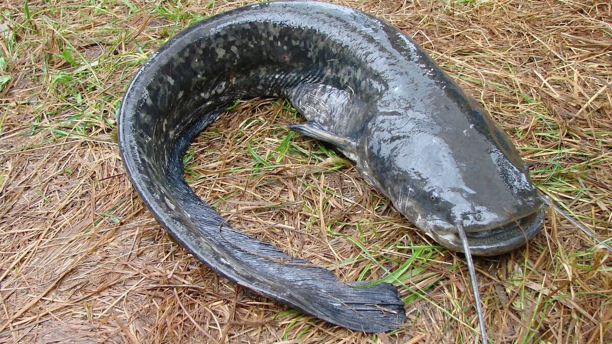 Фото из открытых источников "Яндекс-картинки"