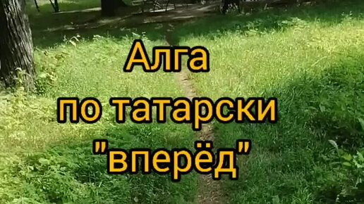 По татарски вперед и назад. Вперед по татарски. Вперед по татарски анекдот как. Как по татарски вперед. Разворачивайся и алга.