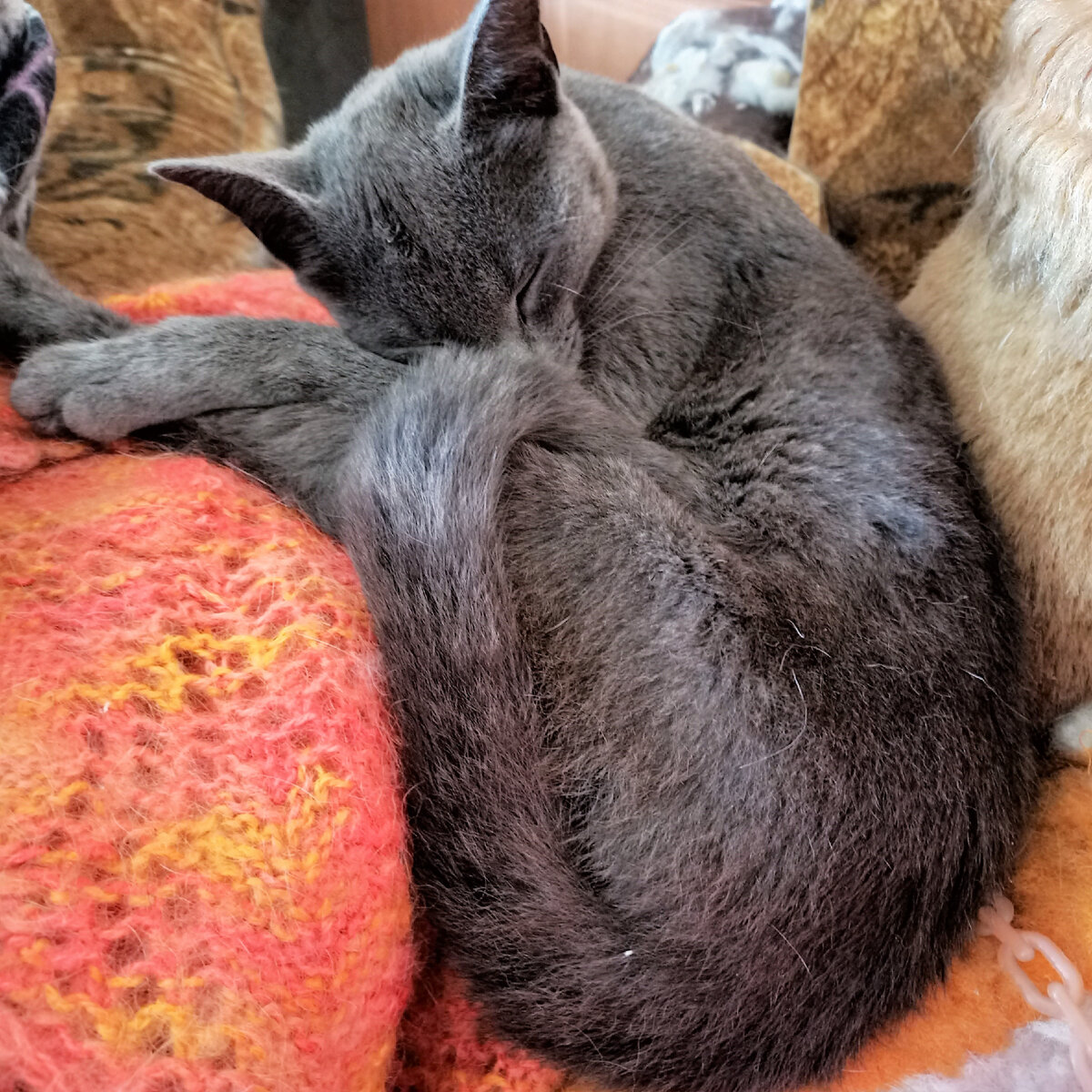 Паааадумаешь, побыла у нас))))