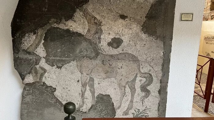 Фотография мозаики из Музея мозаики в Стамбуле. Музей посвящённый мозаикам византийского периода, обнаруженным на месте Большого императорского дворца. 