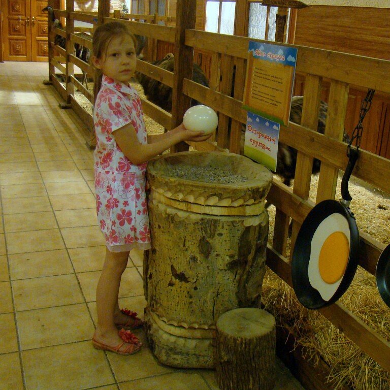 Такую глазунью, как на стене, неплохо бы