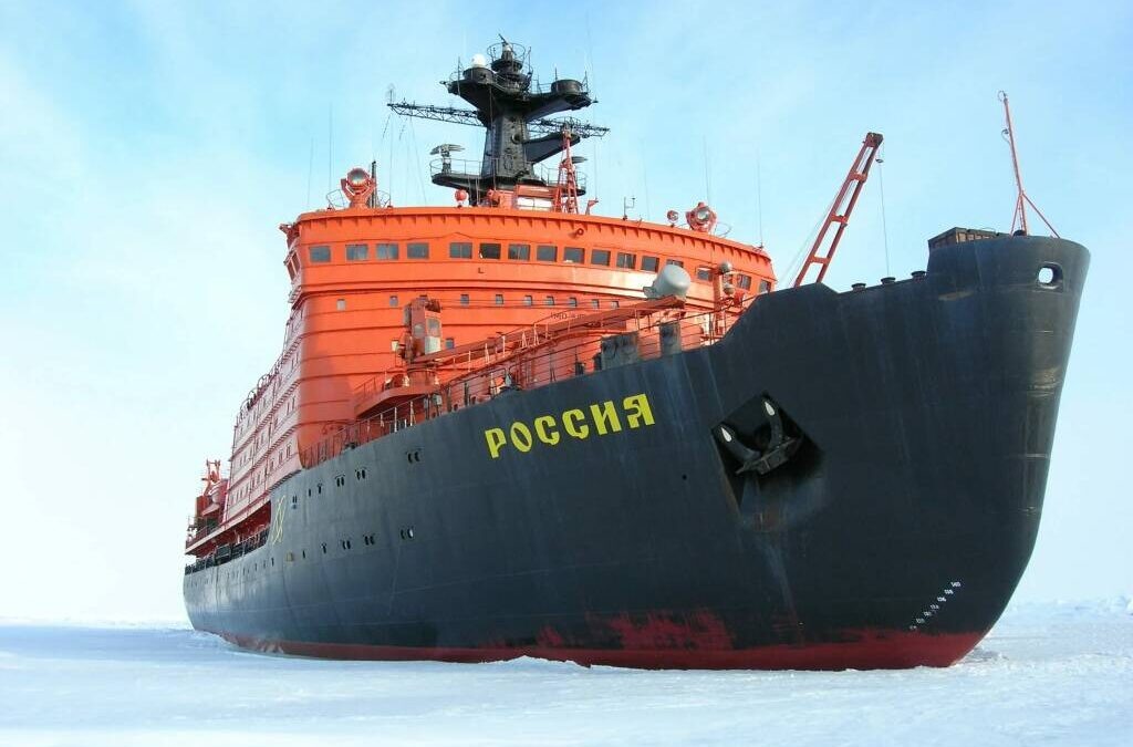   goarctic.ru