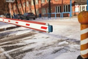    Фото: istock Карина Романова