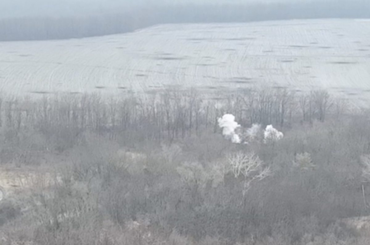    Бойцы группировки «Отважные» сожгли колонну ВСУ у Сватово - РИА новости