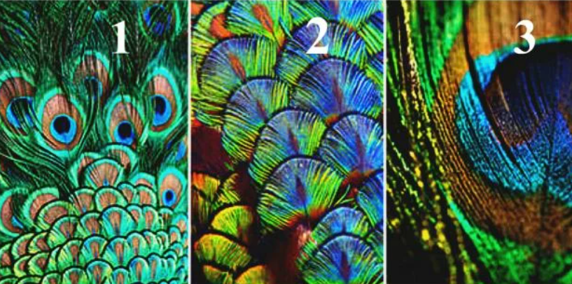 Изображение взято с открытых источников