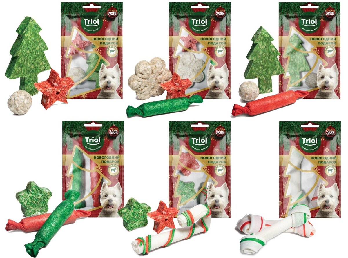 Подраздел 4.2: Правила хранения и сохранения свежести