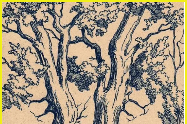     Найдите двух греческих богов: винтажная оптическая иллюзия из журнала XIX века до сих пор удивляет. Проверьте себя