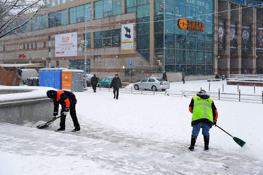 Фото: Виталий Невар / Новый Калининград