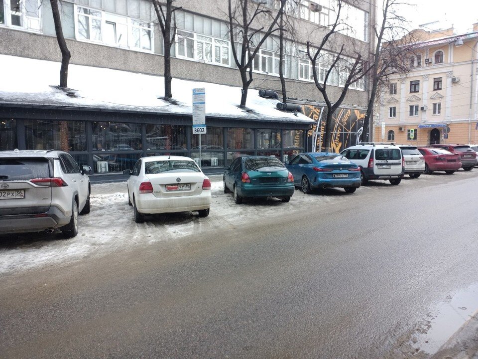     Фото Елены Федяшевой  из архива «КП»