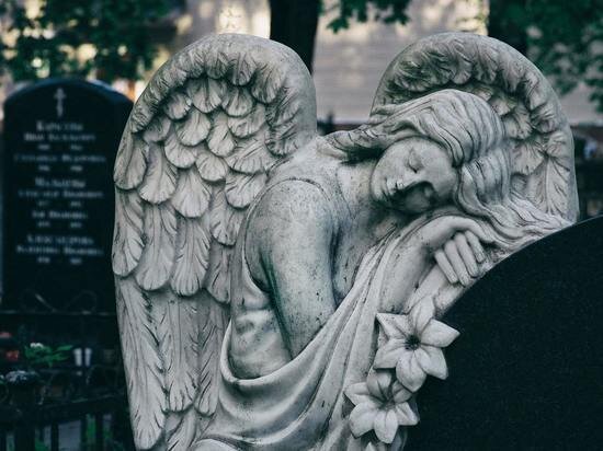     Фото unsplash.com