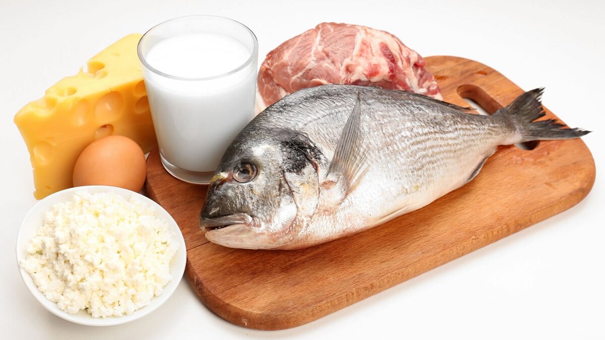 Животные продукты , содержащие белок