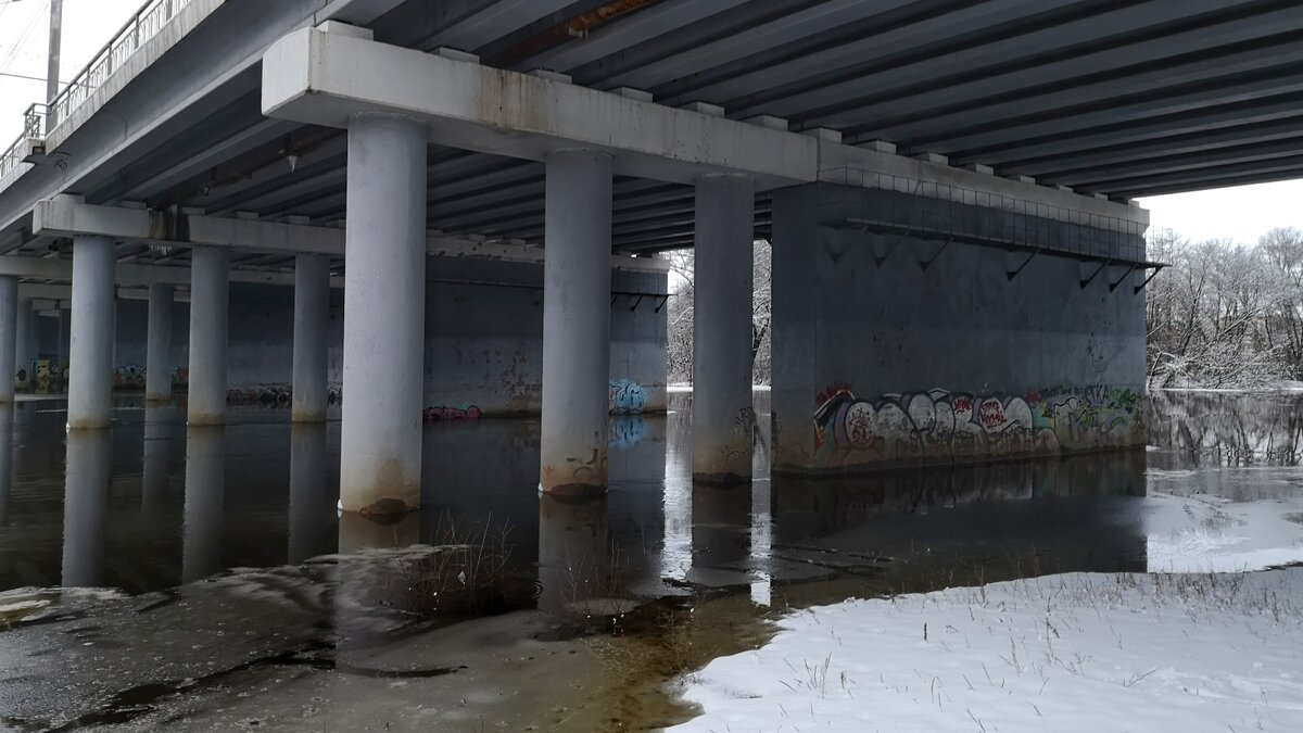    В Брянске резко выросший в Десне уровень воды вызвал зимний паводок avchernov