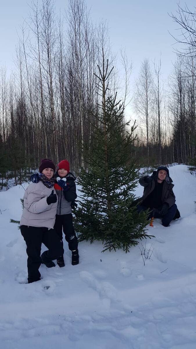 Дети с удовольствием ползают по лесным сугробам, разыскивая новогоднюю красавицу