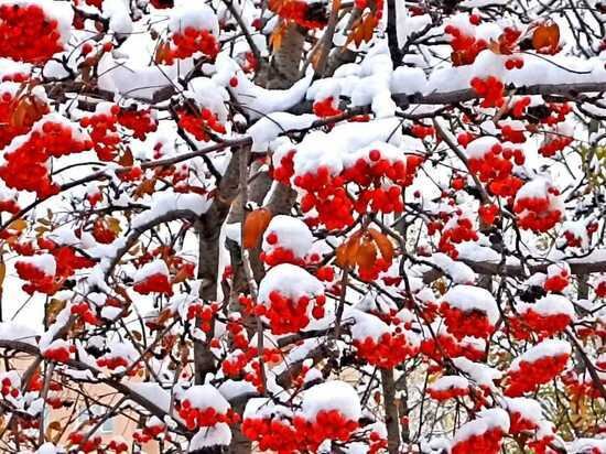     Архив «МК в Оренбурге»
