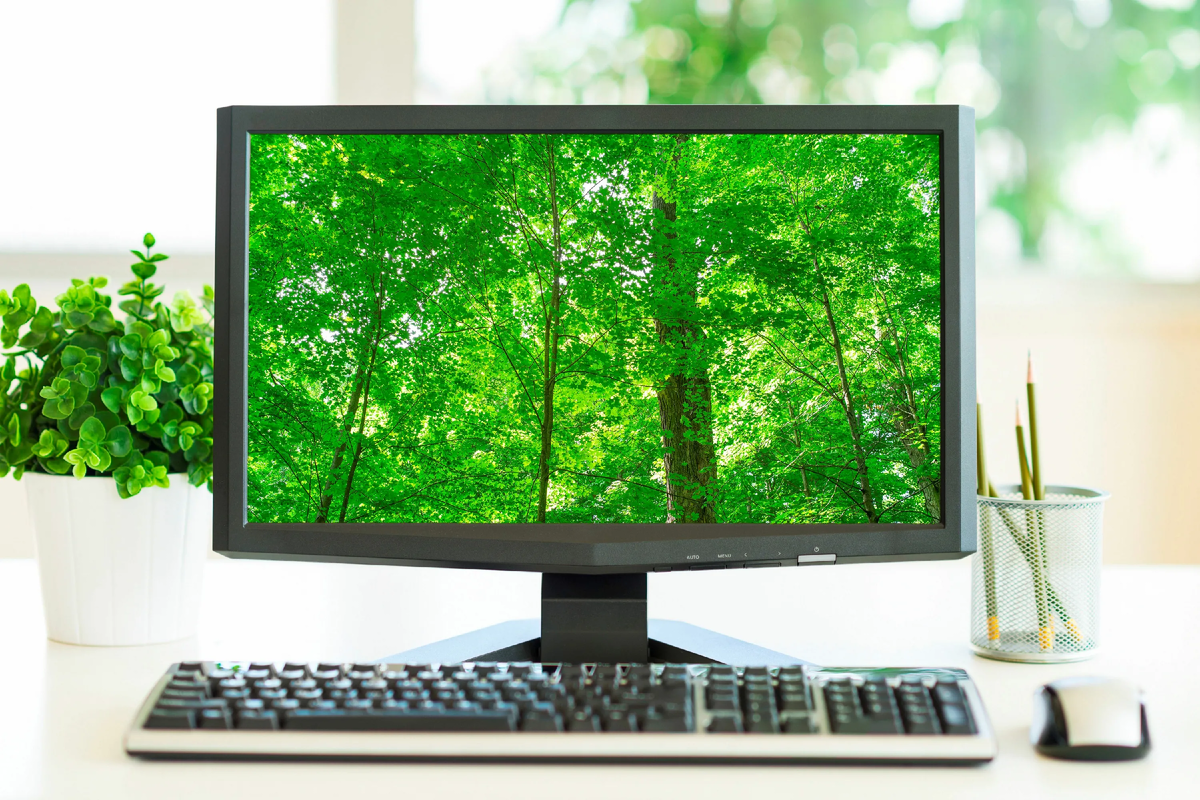 Don t steal computers. Компьютер. Экран монитора. Монитор персонального компьютера. Красивый монитор для компьютера.