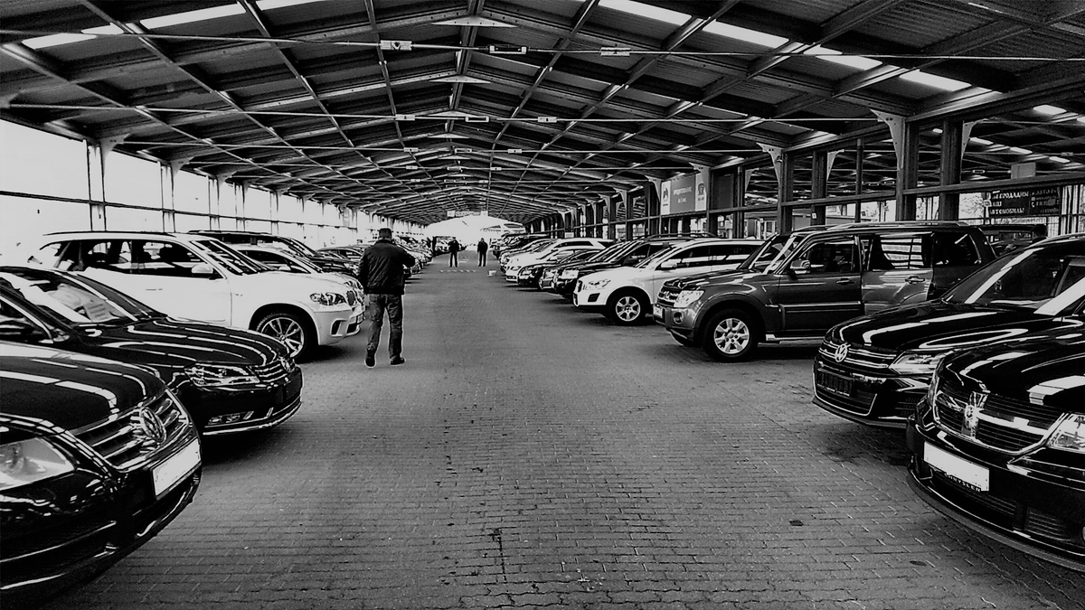 Источник: Яндекс - Картинки. 