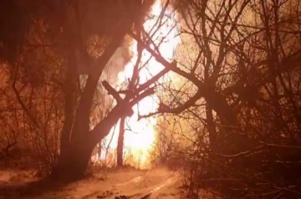    Специалисты выясняют причину взрыва на газопроводе в ЛНР