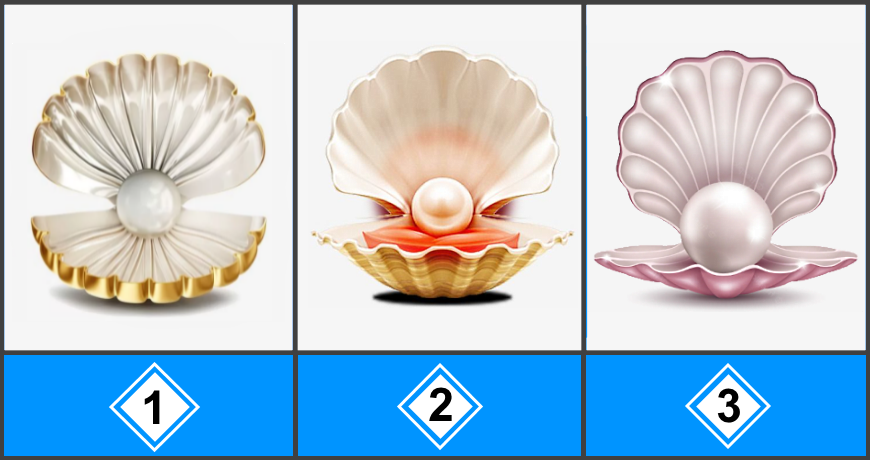 Выберите одну ракушку