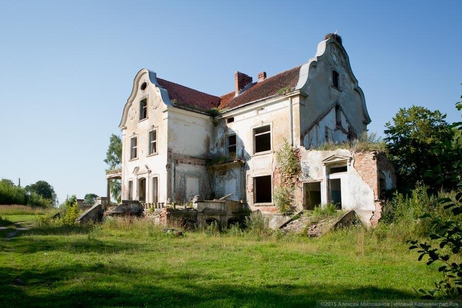 Фото: Алексей Милованов / Новый Калининград