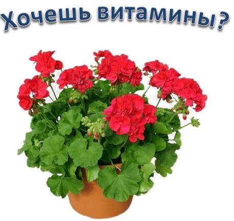 Она хочет витамины