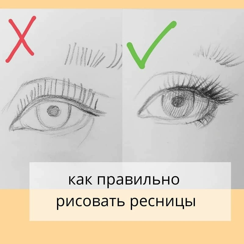 В этой статье я расскажу о 4 самых важных принципах рисования ресниц:
⁣
1) ресницы растут не параллельно друг другу. Ближе к внешнему краю глаза они более горизонтальные по своему направлению, а ближе к середине глаза- более вертикальные⁣
⁣
2) густота ресниц тоже не равномерная.⁣
 Ближе к веку ресницы гуще. На концах более тонкие. Это можно показать даже просто толщиной и количеством линий⁣. 
⁣
3) обращайте внимание, где начинают расти ресницы. Очень частая ошибка- рисовать их сразу же от внутреннего угла глаза. ⁣

4) и самое важное- не вырисовывайте каждую ресничку по отдельности, не забывайте добавлять тон не только в них, но и в сам глаз. Например, в складки века, радужку, тень под глазами и тд. ⁣
⁣
Об этом расскажу в следующих публикациях.⁣
⁣
Сохраняйте себе эту памятку, уверена, пригодится ✅